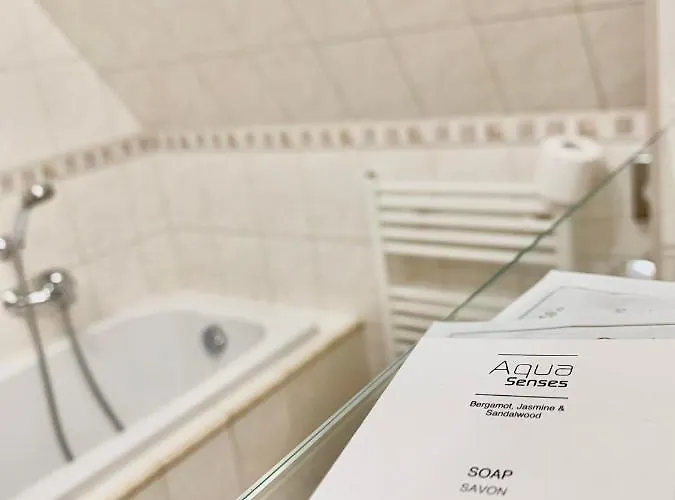 Hotel Buchlovice 3* 부흘로비체